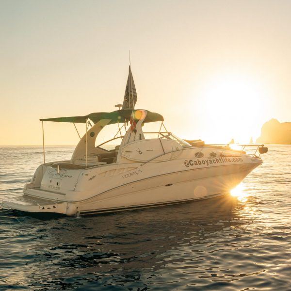 DSC06245-Mejorado-NR-Editar